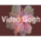 AEƵתˮЧ RevisionFX Video Gogh 3.7. װѧϰ̳