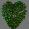 Maya֦ľ Gumroad C Easy Treez V2.0 for Maya
