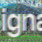 Signal v1.1 עк