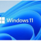 Windows 11 v21H2 22000.1641 RTM ISO原版镜像2023.2
