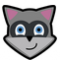Raccoon 4.24.0 激活版