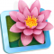 轻量级图像查看器 LilyView 1.6.0 Mac