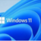 Windows 11 23H2 ٷʽRTM 22631